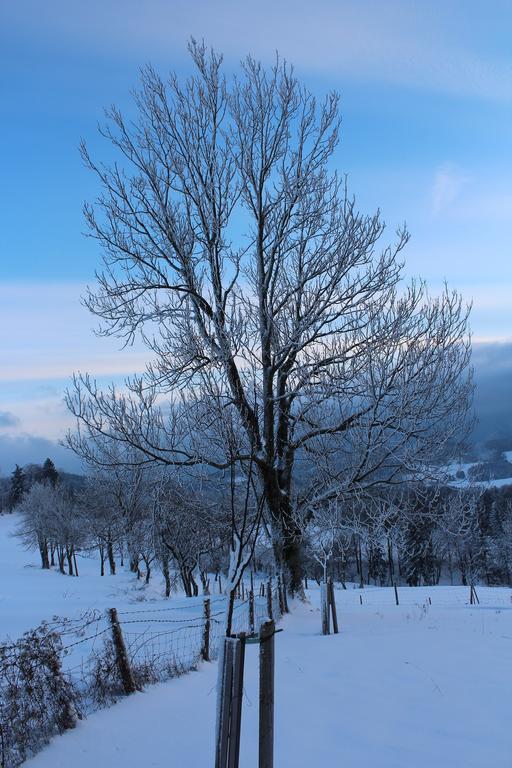 Hirmhof Villa Reinsberg Kültér fotó