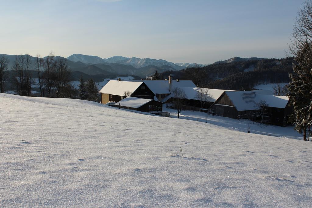 Hirmhof Villa Reinsberg Kültér fotó