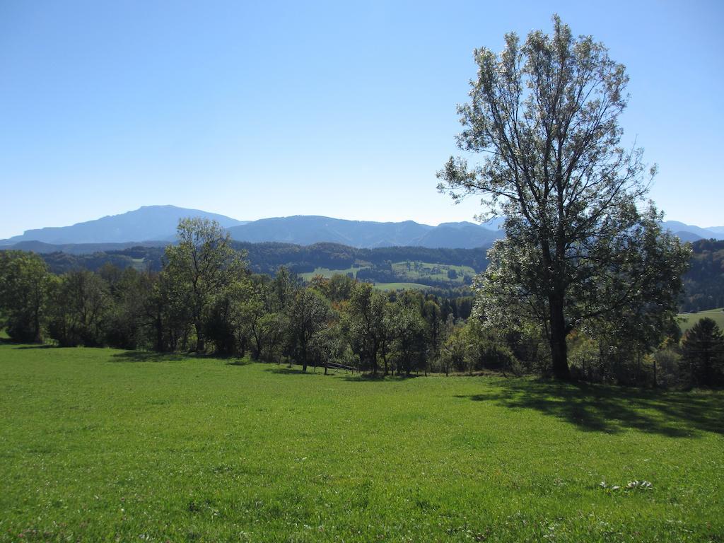 Hirmhof Villa Reinsberg Kültér fotó